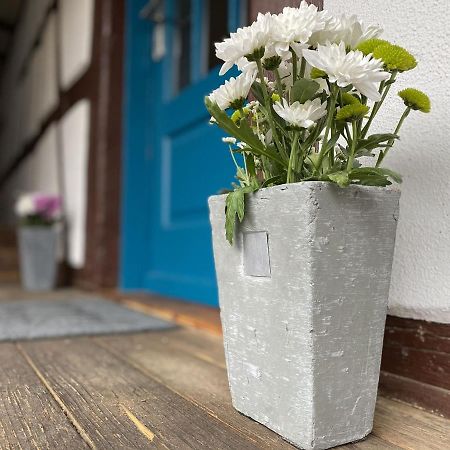 Apartmán Traumhaft Wohnen Im Haus Blum Herbolzheim Exteriér fotografie