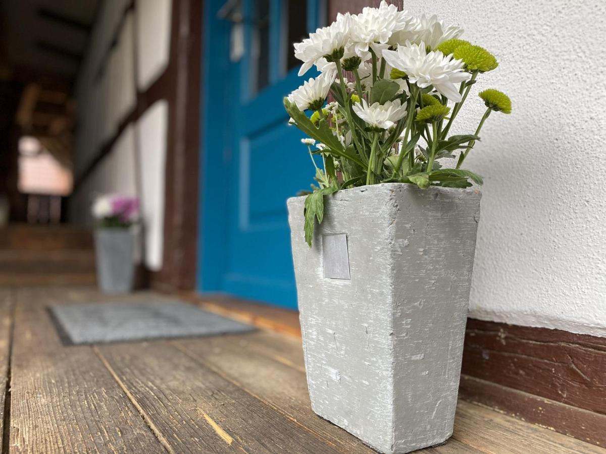 Apartmán Traumhaft Wohnen Im Haus Blum Herbolzheim Exteriér fotografie