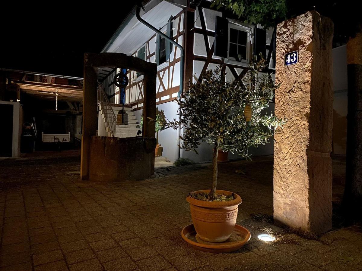 Apartmán Traumhaft Wohnen Im Haus Blum Herbolzheim Exteriér fotografie